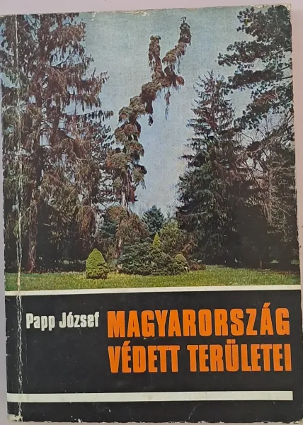 20260208_140022 20260208_140022