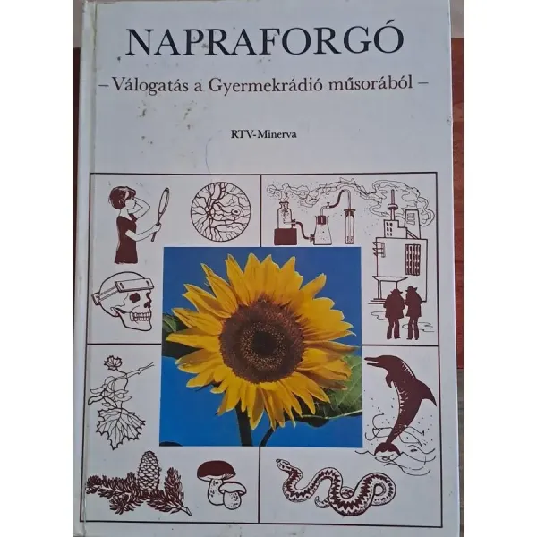 tarnay-marta-napraforgo-valogatas-a-gyermekradio-musorabol-9dec_1_big