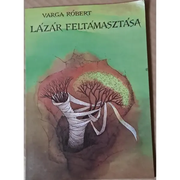 varga-robert-lazar-feltamasztasa-0cec_1_big varga-robert-lazar-feltamasztasa-0cec_1_big