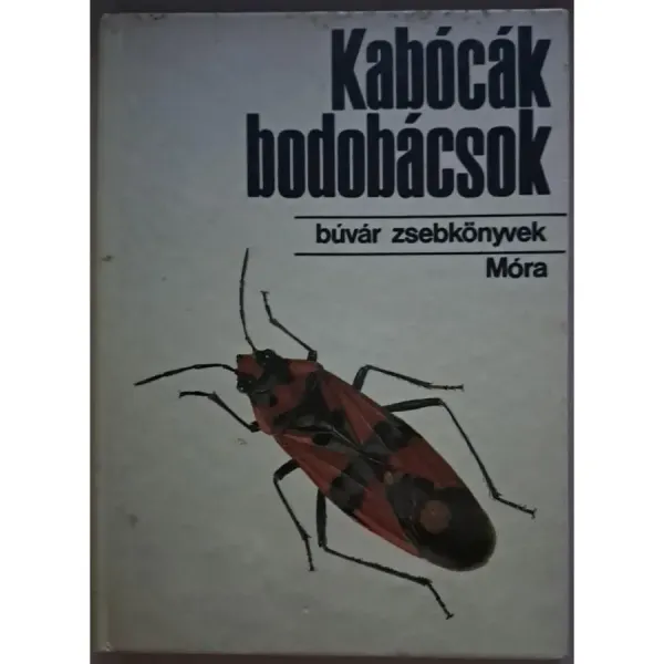 vasarhelyi-tamas-kabocak-bodobacsok-19dc_1_big vasarhelyi-tamas-kabocak-bodobacsok-19dc_1_big