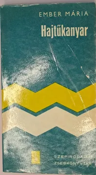 20260208_135030 20260208_135030