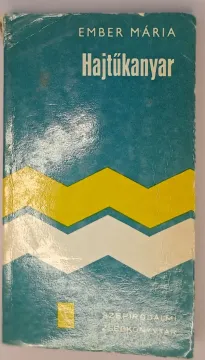 20260208_135054 20260208_135054