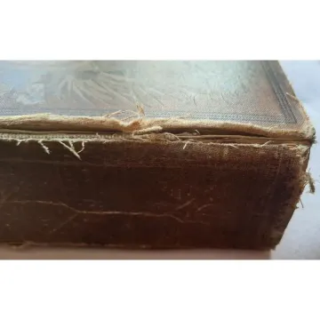 das-buch-der-tierwelt-w-lackowitz-urania-berlin-1896-e8dc_3_big
