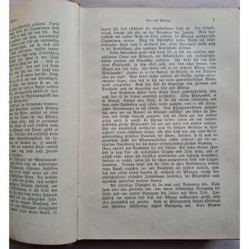 das-buch-der-tierwelt-w-lackowitz-urania-berlin-1896-e8dc_7_big