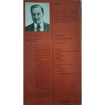 f-scott-fitzgerald-az-ej-szelid-tronjan-19dc_2_big f-scott-fitzgerald-az-ej-szelid-tronjan-19dc_2_big