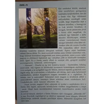 gyocsi-laszlo-herceget-siratja-a-szentesica-dedikalt-peldany-9cdc_2_big gyocsi-laszlo-herceget-siratja-a-szentesica-dedikalt-peldany-9cdc_2_big
